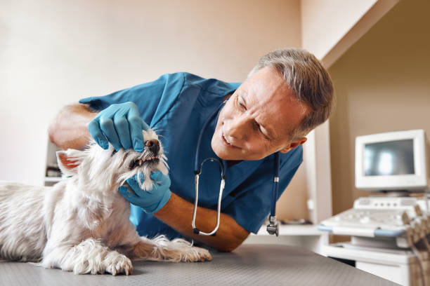 Best Emergency Tooth Extraction in Grand Coulee, WA