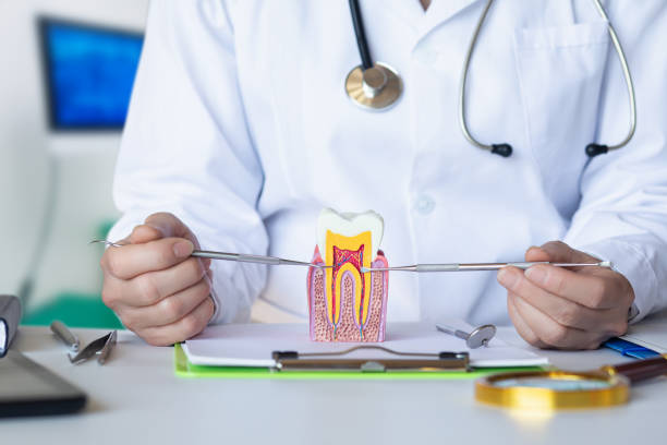 Best Pediatric Emergency Dentist in Grand Coulee, WA